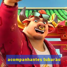 acompanhantes tubarao